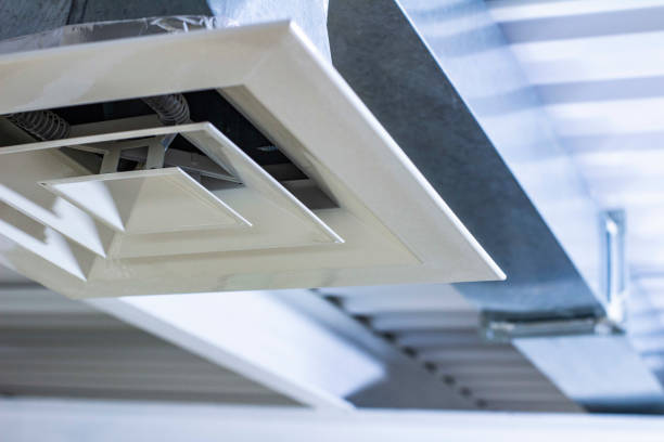 Best Professional Duct Cleaning Services  in Earlvle, IL