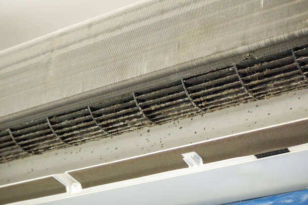 Best Home Air Vent Cleaning  in Earlvle, IL