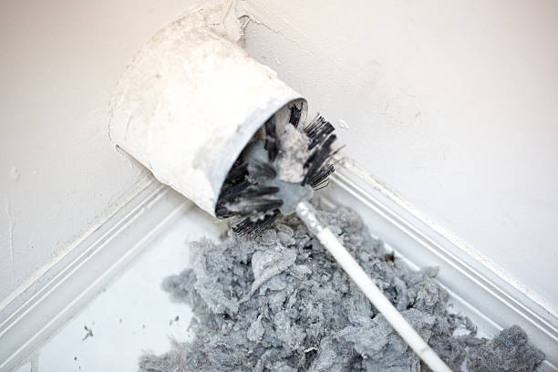Best Affordable Duct Cleaning Services  in Earlvle, IL